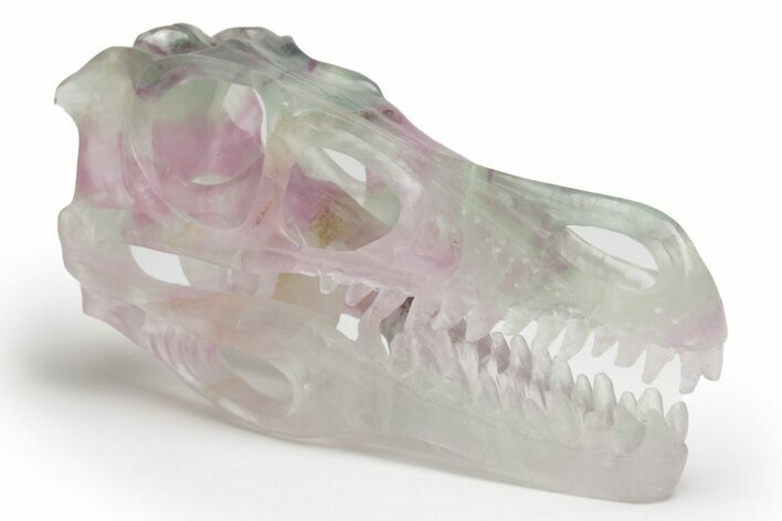 Colorful, Carved Fluorite Dinosaur Skull #218478